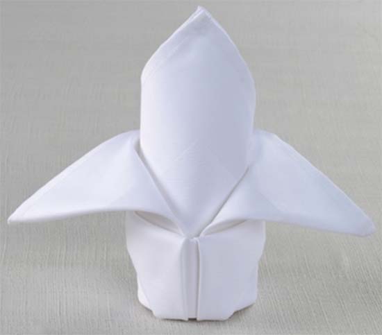 Satin Band Napkins